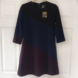 Taylor Colorblock Trapeze Dress